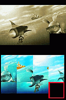 Nintendo DS Screenshots