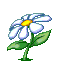 Blume/Flower